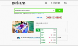 网页视频解析,揭秘视频内容背后的技术奥秘